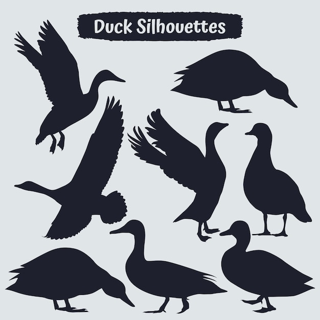 Vector collection of duck silhouette in different poses