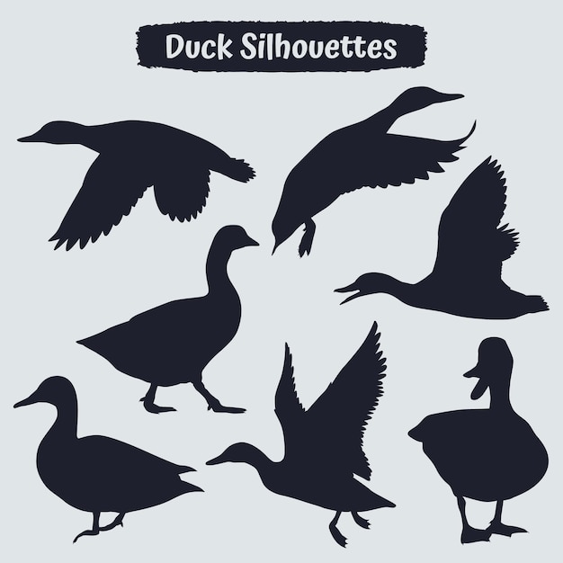 Vector collection of duck silhouette in different poses