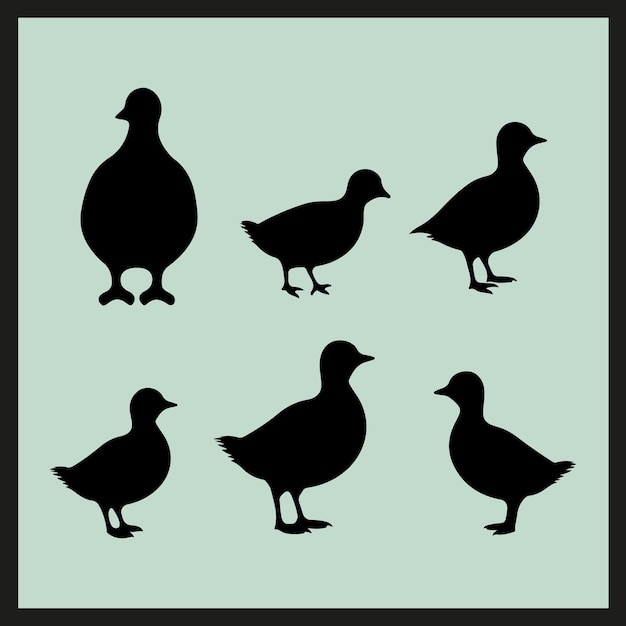 a collection of ducks and a black and white picture with the words ducks