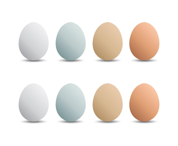 Collection of egg cartoon design Realistic 3d animal egg cartoon design icon Pack of animal egg