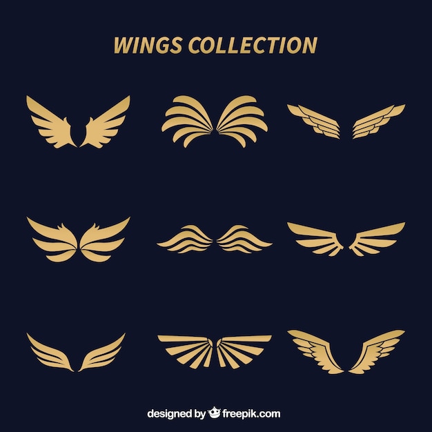 Vector collection of elegant golden wings