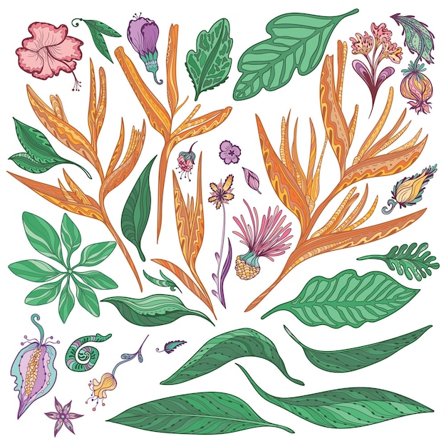 Raccolta di illustrazioni floreali indiane esotiche in ornamenti di schizzo in stile doodle per il design dei viaggi estivi