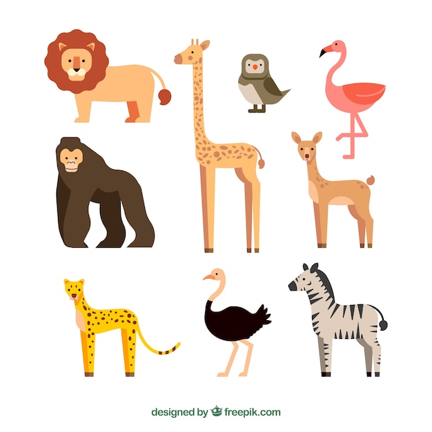 Vector collection of exotic wild animals