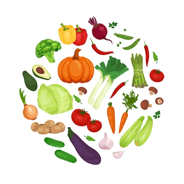 Collection farm product organic eco vegetable vector circle isolated on a white background