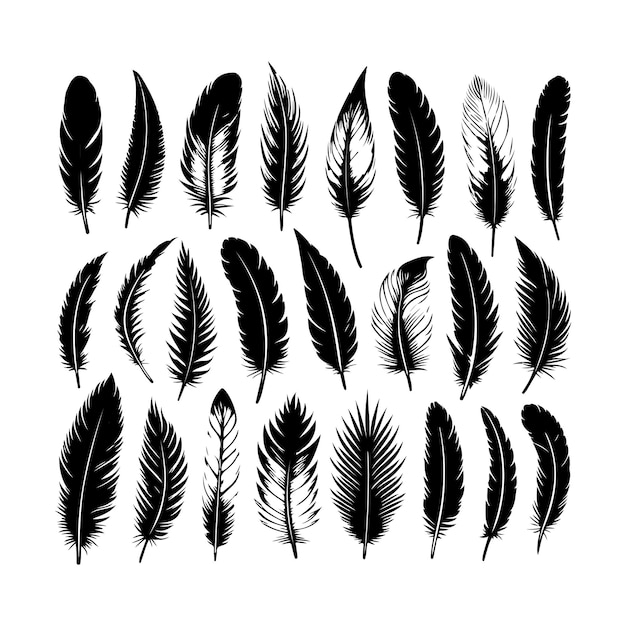 a collection of feathers and feathers with a white background