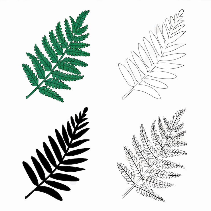 Vector a collection of fern leaves and other plants