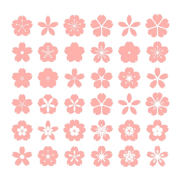 Vector collection of flat design sakura collection