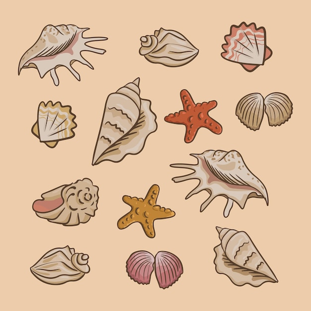 Collection of flat vector seashells