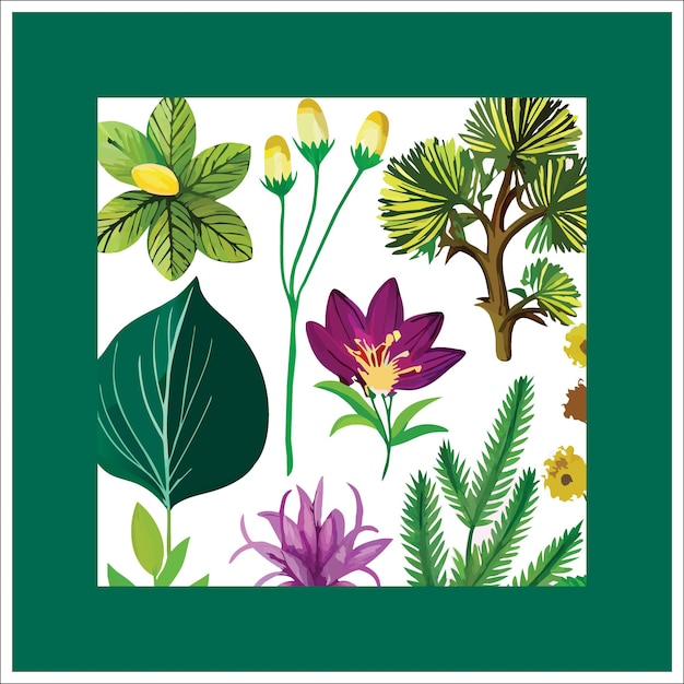 collection of floral and botanical elements vector set of leaf foliage wildflowers plants bloom