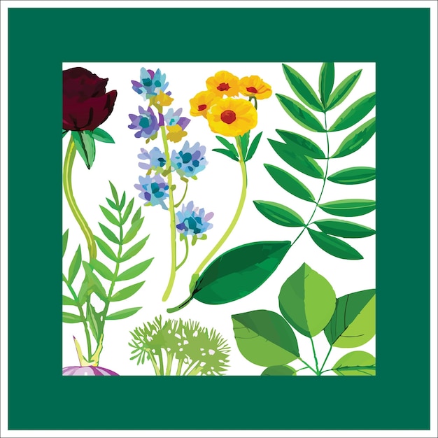 collection of floral and botanical elements vector set of leaf foliage wildflowers plants bloom