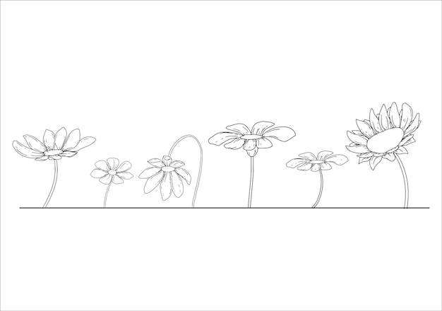 Collection of Floral Doodle Line Art Illustrations