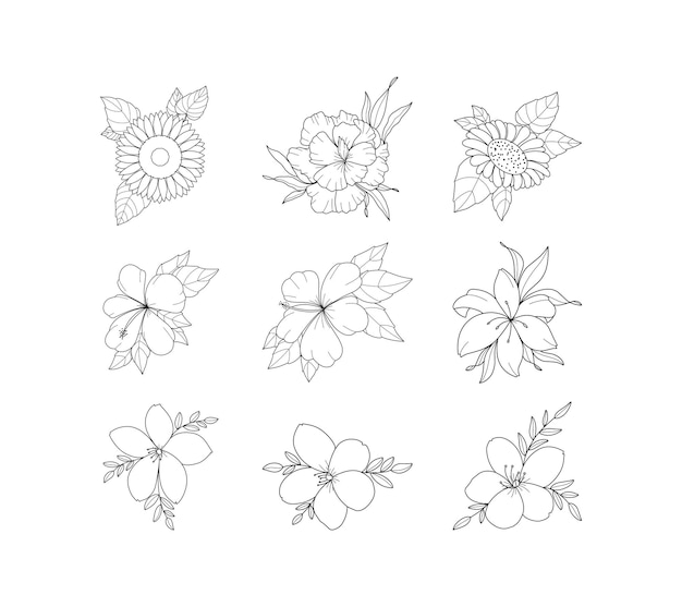 Collection Flower arrangement Illustrations White Background