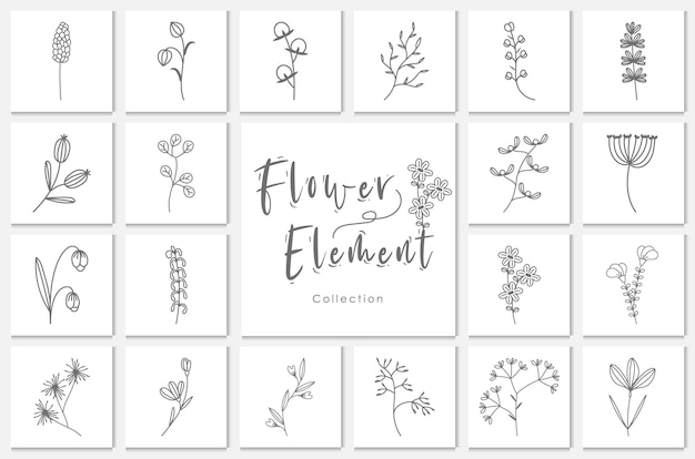 Collection flower element lineart illustration