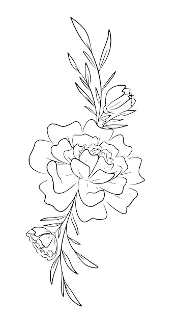 Raccolta di elementi dell'insieme dell'illustrazione in bianco e nero della grafica del fiore