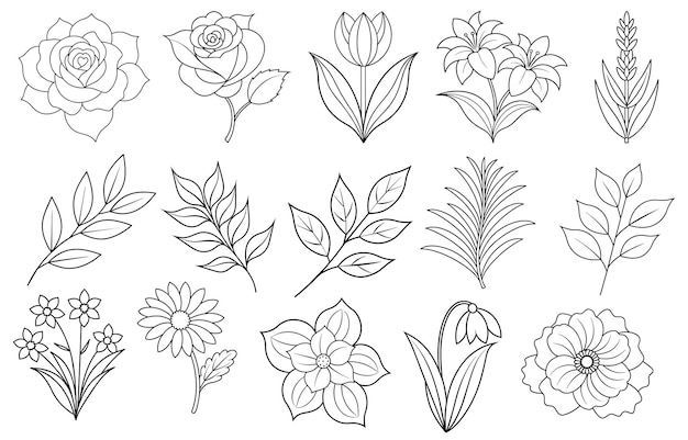 Collection of flower and leaf elements