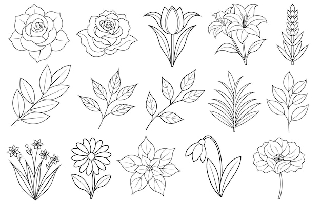 꽃과 잎 요소의 컬렉션.