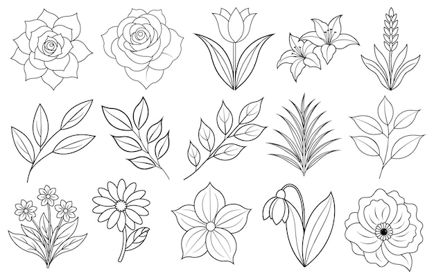 Collection of flower and leaf elements
