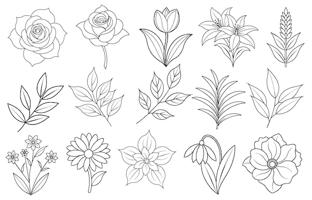 Collection of flower and leaf elements