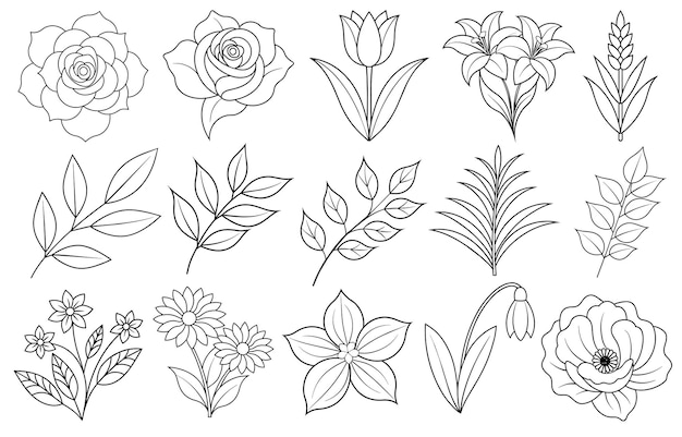 Collection of flower and leaf elements