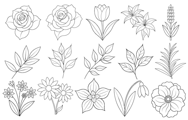 Collection of flower and leaf elements