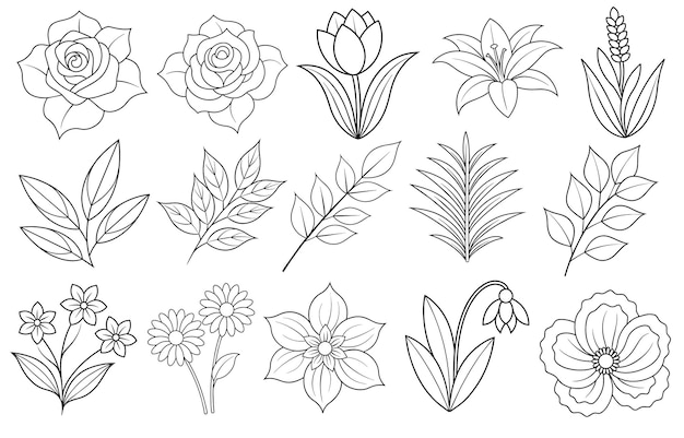 Vector collection of flower and leaf elements