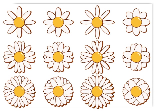 A collection of flower vectors