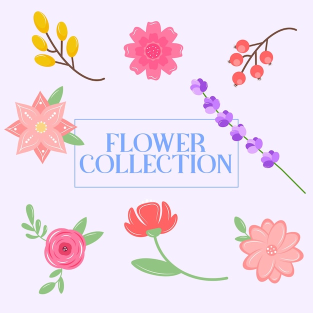 Collection of flowers botanical floral set