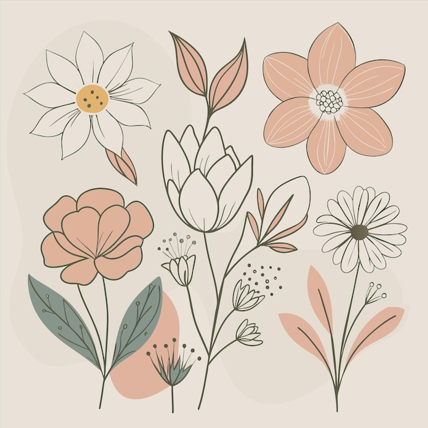 Vector a collection of flowers including one of the flowers