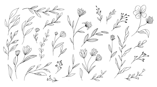 A collection of flowers and leaves on a white background.