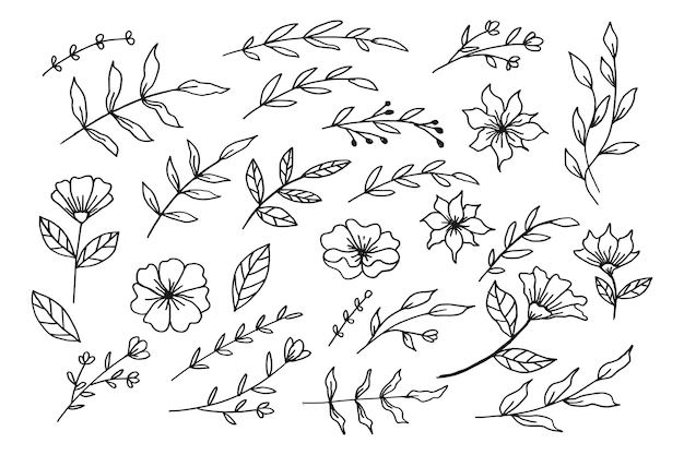 A collection of flowers and leaves on a white background