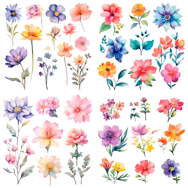 A collection of flowers, watercolor, flowers, hand painted, isolated on a white background.