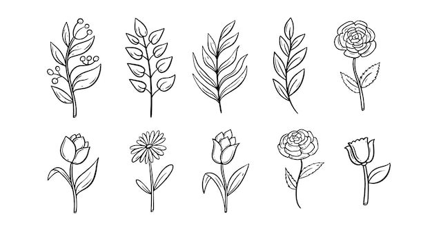 A collection of flowers with different shapes and sizes.