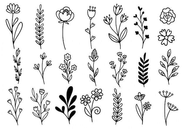 Collezione felce foresta eucalipto arte fogliame foglie naturali erbe in stile linea. illustrazione elegante di bellezza decorativa per il fiore disegnato a mano di progettazione