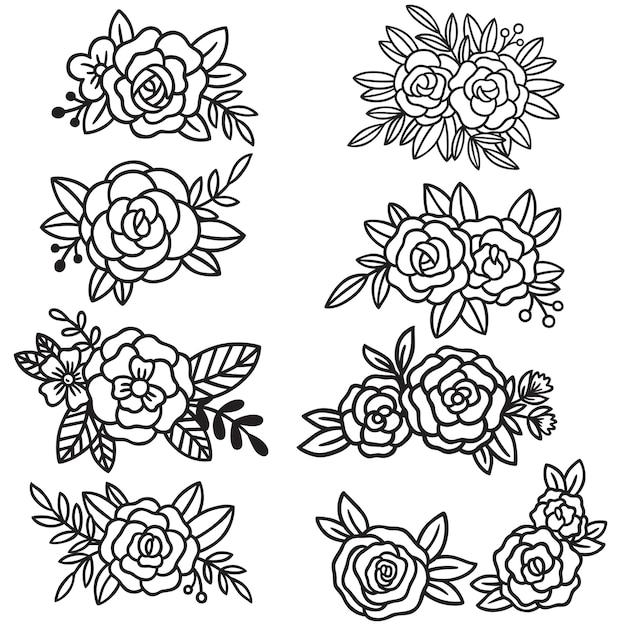 collection forest fern eucalyptus art foliage natural leaves herbs in line style.