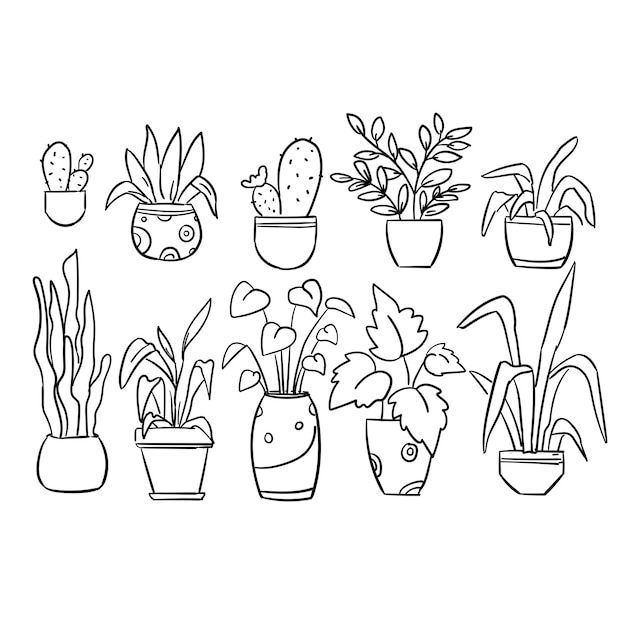Collection of Free Hand Drawn detailed Black Line Indoor Plant amp pot Vector
