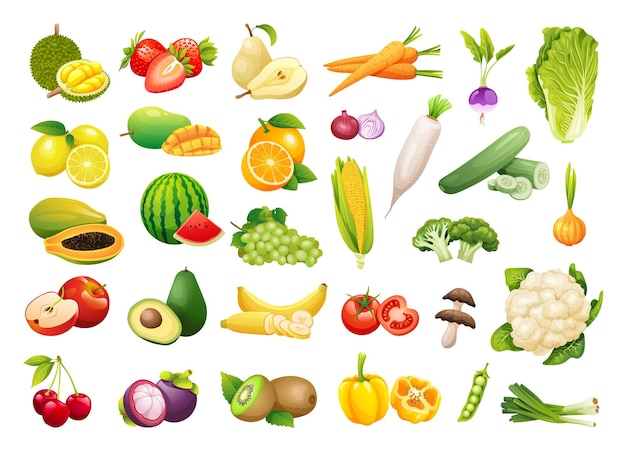 Collection of fresh fruits and vegetables in cartoon style