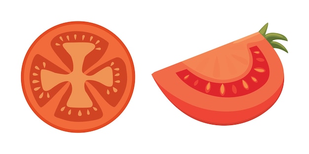 Vector collection of fresh red tomatoes and soup vector illustrations half slice cherry tomato