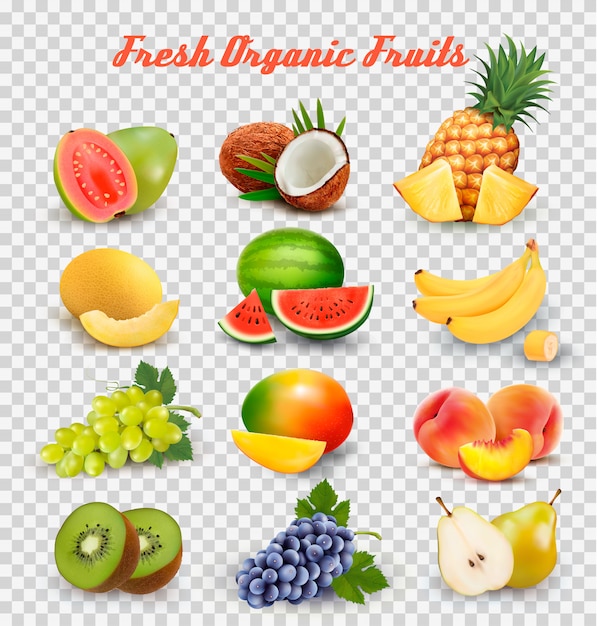 Collection of fruit and berries. Watermelon, honeydew, guava, coconut, pineapple, grapes, mango, peach, pear, banana, kiwi. Set.