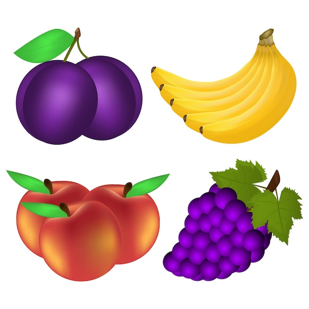 Vector collection of fruit