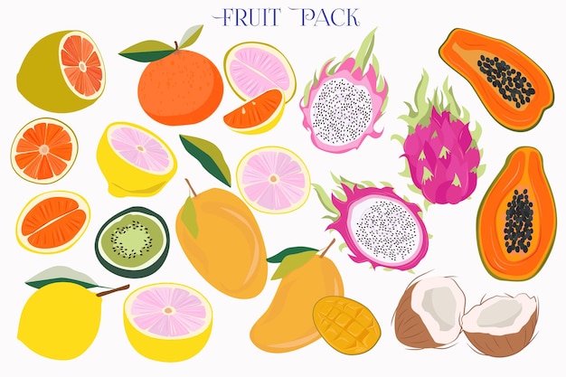 Collection of fruits Citrus lemon lime kiwi papaya coconut mango Editable vector illustratio