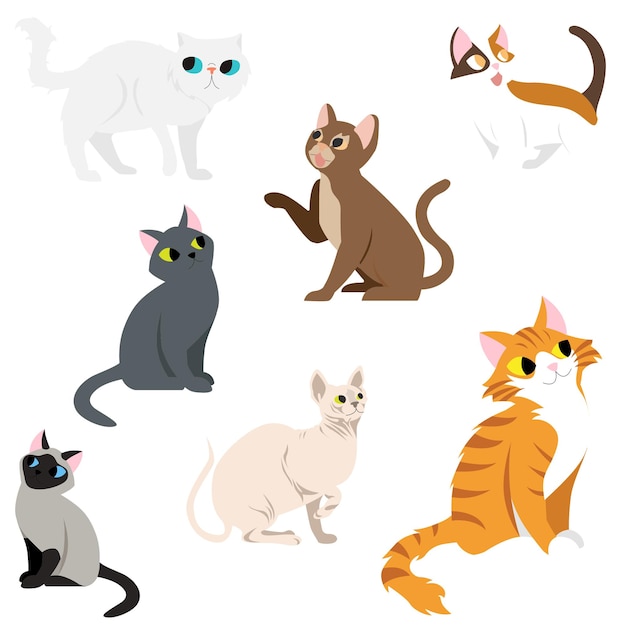 Collection of funny different cats isolated on white background