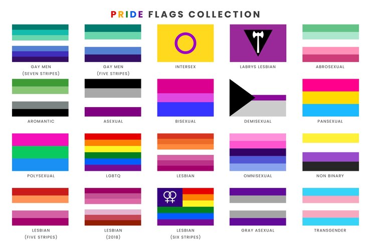Vector collection of gender identity pride flagsvector illustration of sexual identity flags