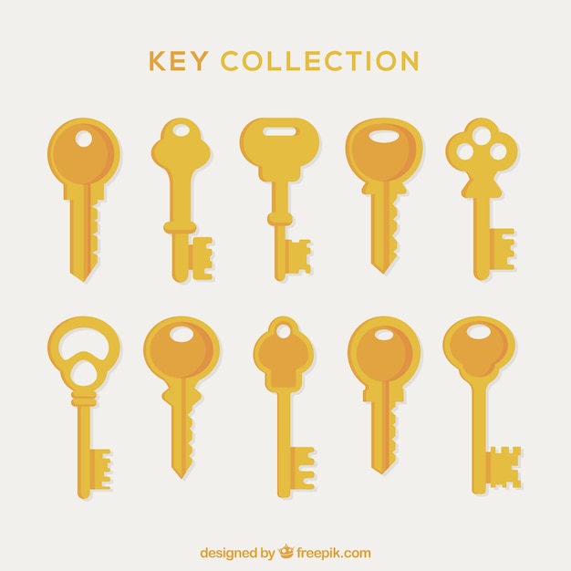 Vector collection of golden keys