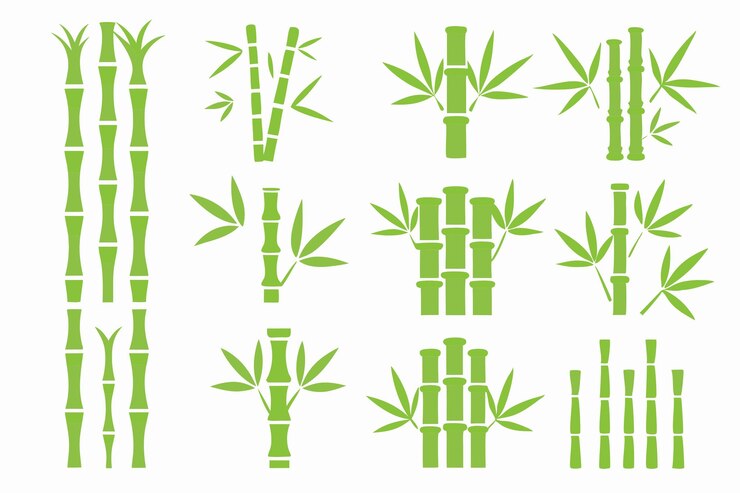 Vector collection of green bamboo leaf elements vector