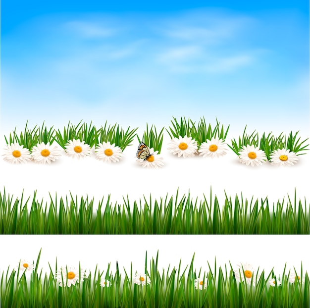 Vector collection of green grass backgrounds