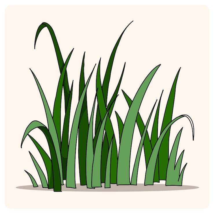 Vector 草<unk>上的一系列綠草碎片的畫作風格