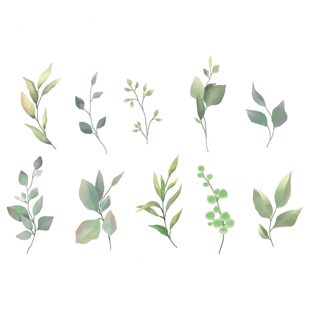 Collection of green leaf watercolor style