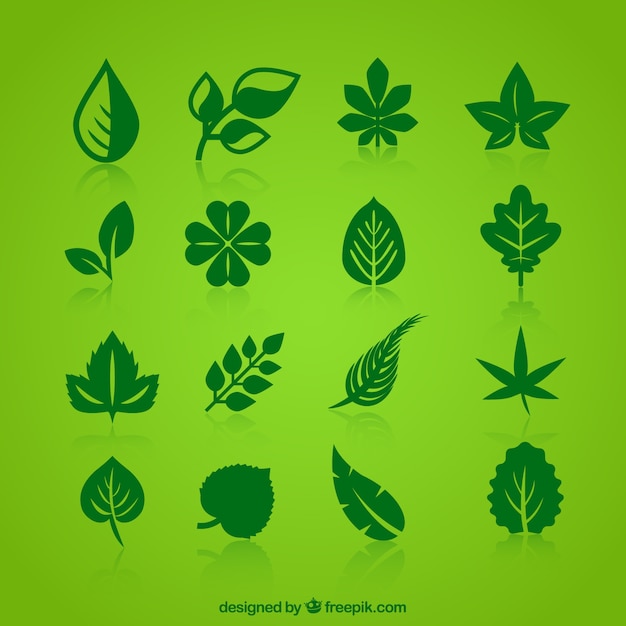 Collection of green leaves icons