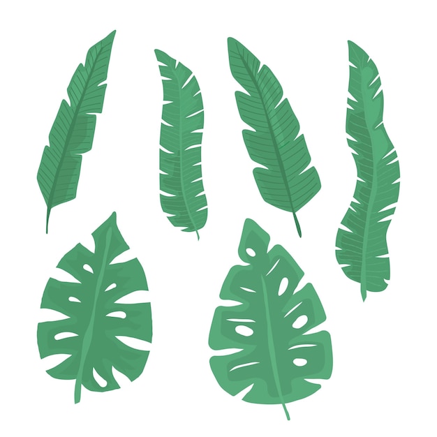 흰색 배경에 자연 식물 요소의 녹색 잎 벡터 일러스트 레이 션의 컬렉션