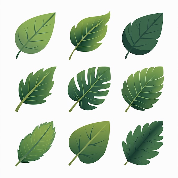 Vettore una raccolta di foglie verdi con la parola foglia su di loro